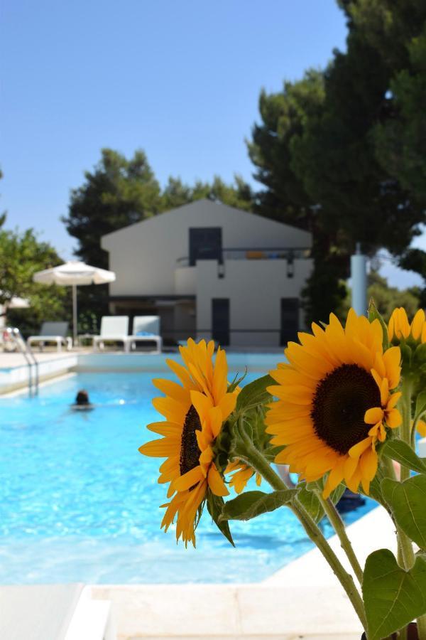 Villa Pefki Chania  Zewnętrze zdjęcie